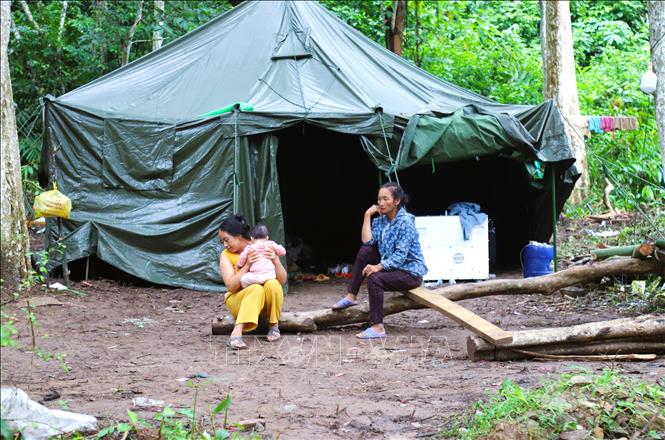Nhịp sống đã trở lại bình thường đối với các hộ dân bị lũ cuốn trôi nhà khi được ở trong những ngôi nhà bạt được dựng lên bằng tinh thần, trách nhiệm, tình thương, sự quan tâm của chính quyền địa phương và các lực lượng. Ảnh: Xuân Tiến - TTXVN 