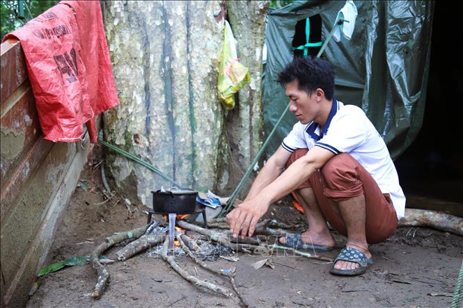 Người dân nấu bữa ăn cho gia đình trong khu nhà bạt dưới tán rừng săng lẻ. Ảnh: Xuân Tiến - TTXVN 