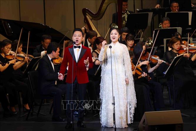 Một tiết mục nghệ thuật tại chương trình. Ảnh: Phạm Kiên - TTXVN