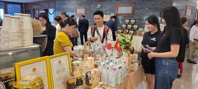 Các đại biểu tham quan các sản phẩm nông sản chủ lực của tỉnh Gia Lai. Ảnh: Hoài Nam - TTXVN