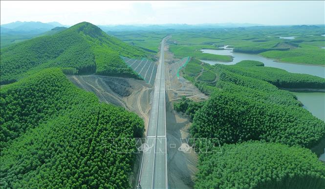 Cao tốc Vạn Ninh - Cam Lộ xuyên qua cánh rừng. Ảnh: Quốc Khánh - TTXVN
