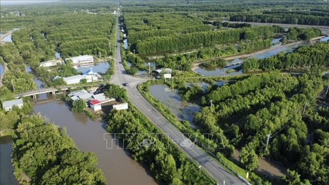 Tuyến cao tốc Cà Mau - Đất Mũi có tổng mức đầu tư dự kiến gần 59.000 tỷ đồng, được thi công theo cơ chế khẩn cấp, dự kiến hoàn thành trong năm 2028. Ảnh: Huỳnh Anh - TTXVN
