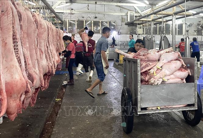 Nguồn thịt lợn được kiểm tra, giám sát chặt chẽ trước khi vào chợ ở Tp. Hồ Chí Minh. Ảnh: Hương Giang – TTXVN
