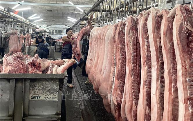 Thương nhân chợ đầu mối nông sản thực phẩm Hóc Môn thường xuyên được tập huấn về an toàn thực phẩm. Ảnh: Hương Giang – TTXVN