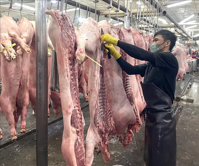 Nhân viên làm việc tại chợ đầu mối nông sản thực phẩm Hóc Môn (Tp. Hồ Chí Minh) phải sử dụng đồ bảo hộ. Ảnh: Hương Giang – TTXVN
