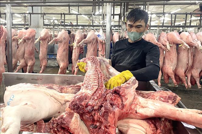 Nhân viên chợ đầu mối nông sản thực phẩm Hóc Môn (Tp. Hồ Chí Minh) pha lóc thịt lợn. Ảnh: Hương Giang – TTXVN