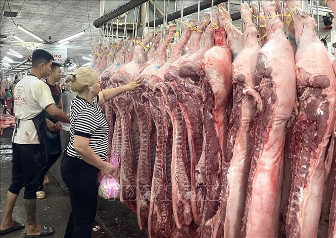 Mỗi đêm, chợ đầu mối nông sản thực phẩm Hóc Môn tiêu thụ 350 tấn thịt lợn. Ảnh: Hương Giang – TTXVN