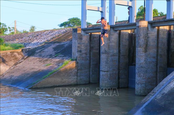 Thanh niên thực hiện nhảy từ độ cao 3m từ trên cống xả tiêu Trạm bơm Hữu Bị xuống sông. Ảnh: Công Luật - TTXVN