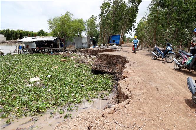 Tình trạng sạt lở nghiêm trọng trên địa bàn xã Bình Giang, tỉnh An Giang. Ảnh: Hồng Đạt - TTXVN