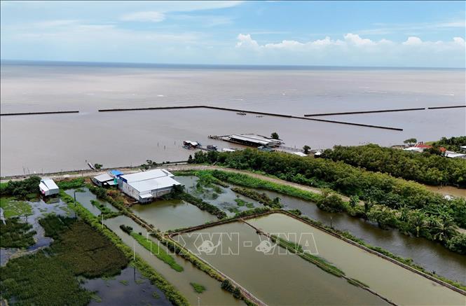 Tuyến kè ly tâm dự ứng lực tại khu vực giáp ranh tỉnh Cà Mau với An Giang. Ảnh: Hồng Đạt - TTXVN