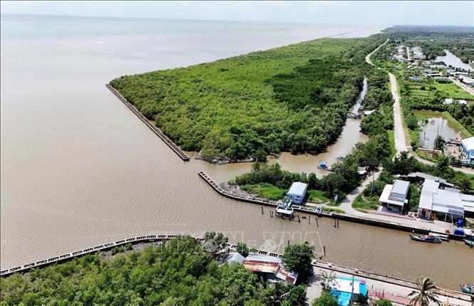Cửa biển Hương Mai (xã U Minh, tỉnh Cà Mau), nơi được đầu tư gia cố bằng kè ly tâm dự ứng lực bảo vệ đai rừng phòng hộ phía bên trong. Ảnh: Hồng Đạt - TTXVN