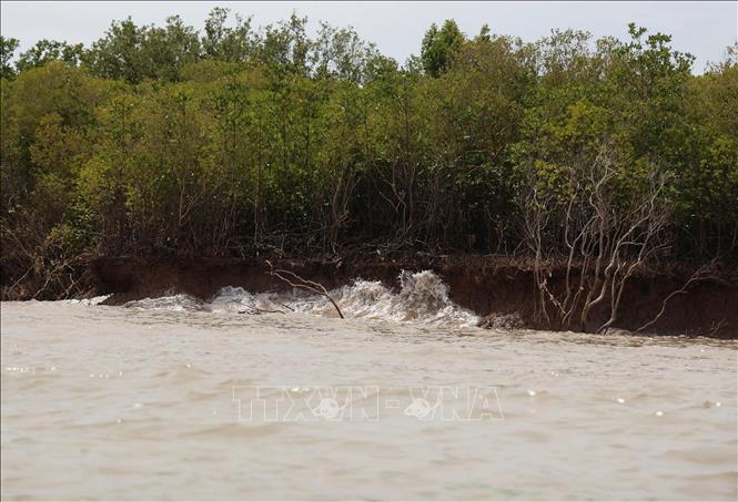 Bờ biển Tây đối mặt với sạt lở do biến đổi khí hậu. Ảnh: Hồng Đạt - TTXVN