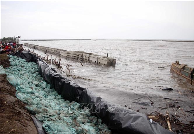 Tuyến đê phòng hộ ven biển Tây thuộc xã Khánh Bình Tây, huyện Trần Văn Thời, tỉnh Cà Mau cũ bị sạt lở thân đê phòng hộ trước trận sóng lớn năm 2019. Ảnh tư liệu: Huỳnh Anh - TTXVN