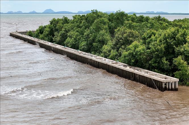 Công trình kè biển đoạn qua xã Bình Giang, tỉnh An Giang. Ảnh: Hồng Đạt - TTXVN