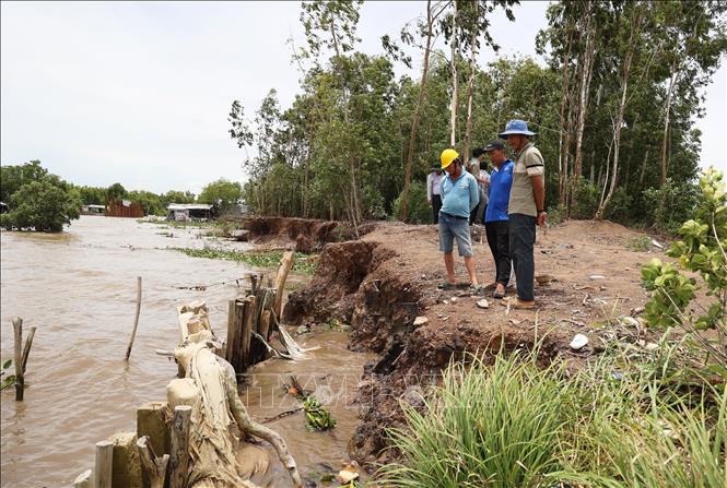Vị trí sạt lở hàm ếch nguy hiểm hiểm tại khu vực ven biển xã Bình Giang, thời điểm trung tuần tháng 8/2025. Ảnh: Hồng Đạt - TTXVN