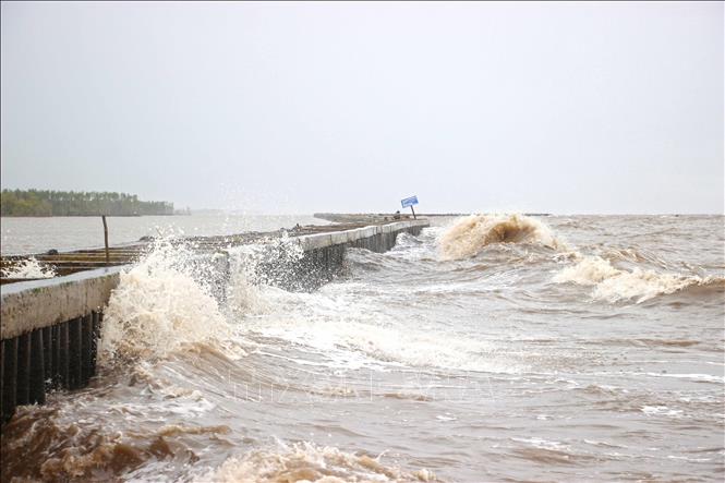 Ảnh tư liệu: Đối với tuyến đê biển Tây, câu chuyện mất rừng, mất đất, sạt lở bờ đê, ban bố tình huống khẩn cấp luôn được lập lại mỗi khi mùa mưa bão đến. Ảnh: Huỳnh Anh - TTXVN