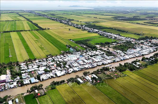 Vùng chuyên canh lúa trên địa bàn huyện Hòn Đất, tỉnh Kiên Giang cũ, được bảo vệ bởi tuyến đê, kè biển đi qua. Tỉnh An Giang là địa phương có sản lượng và diện tích lúa lớn nhất nước. Ảnh: Hồng Đạt - TTXVN