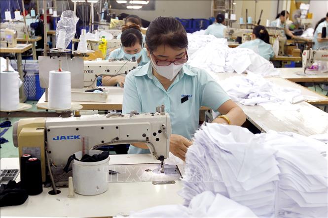 Sản xuất quần áo thể thao tại Công nhân Công ty TNHH AMPFIELD (Việt Nam), Khu công nghiệp Tân Bình, TP. Hồ Chí Minh. Ảnh: Thanh Vũ-TTXVN