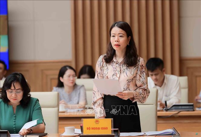 Thứ trưởng Bộ Ngoại giao Nguyễn Minh Hằng phát biểu. Ảnh: An Đăng - TTXVN