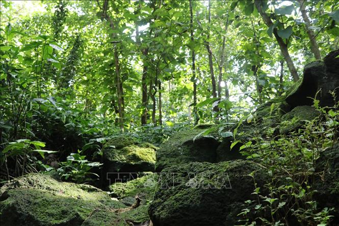 Khu vực cửa vào