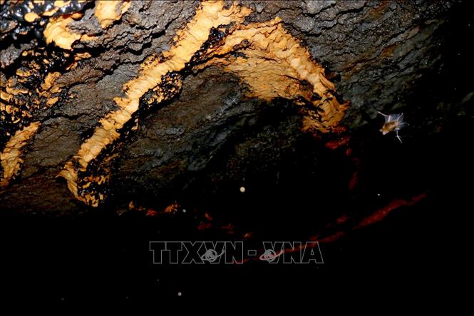 Phía vòm trên của hang dung nham có những lớp đá màu vàng nâu và màu vàng óng trông rất đẹp. Ảnh: Sỹ Tuyên - TTXVN