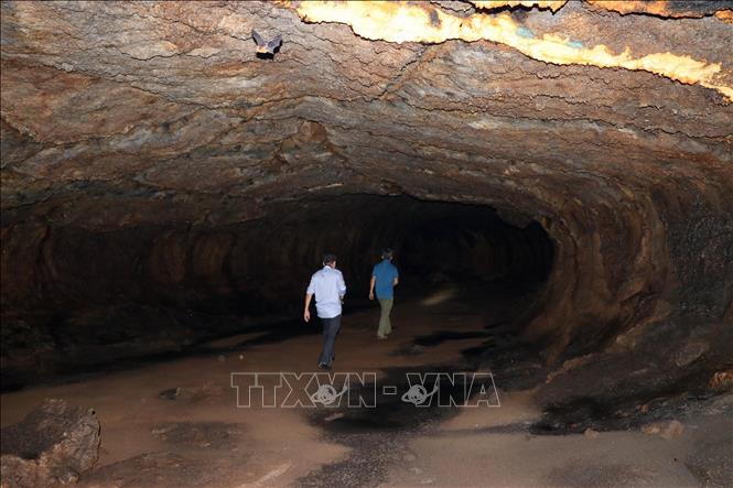 Hang dung nham có nơi cao khoảng 2 mét, rộng 3 - 4 mét. Ảnh: Sỹ Tuyên - TTXVN