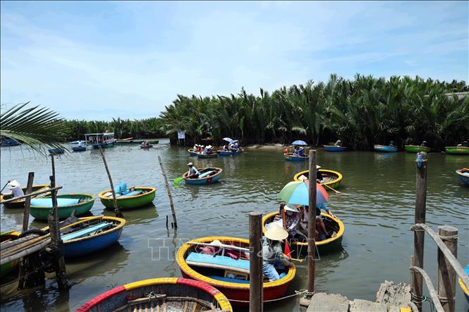 Những chiếc thuyền thúng nhiều màu sắc là phương tiện độc đáo đưa du khách khám phá sâu vào khu rừng dừa nước. Ảnh: Đỗ Trưởng – TTXVN