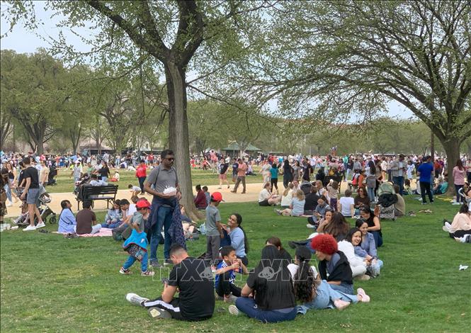 Người dân và khách du lịch tại trung tâm thủ đô Washington D.C. Ảnh: Ngọc Quang, phóng viên TTXVN tại Mỹ