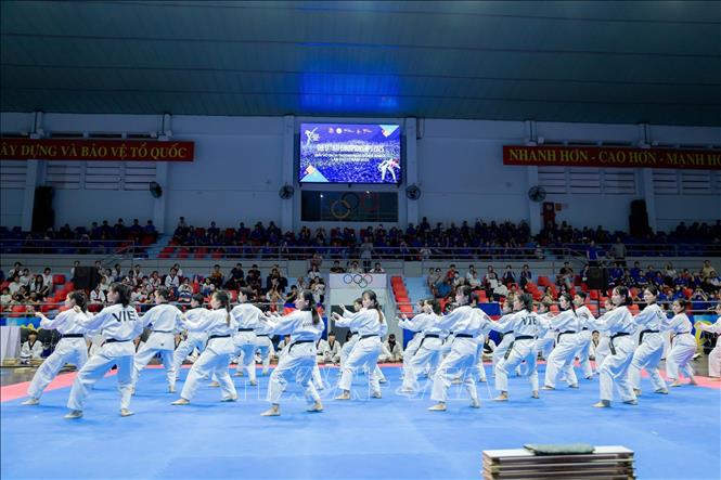 Việt Nam nhất toàn đoàn tại Giải vô địch Taekwondo Đông Nam Á 2025. Ảnh TTXVN phát