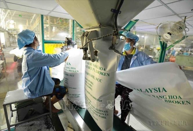 Nông nghiệp phát triển, Việt Nam không những đã bảo đảm được an ninh lương thực mà còn trở thành một nước xuất khẩu gạo và nhiều nông sản khác đứng hàng đầu thế giới. Trong ảnh: Đóng gói gạo xuất khẩu. Ảnh: Vũ Sinh – TTXVN