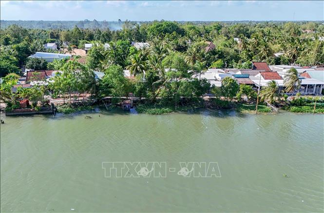 Một đoạn bờ sông Ô Môn, phường Ô Môn, thành phố Cần Thơ đang bị sạt lở đe dọa. Ảnh: Thanh Liêm - TTXVN