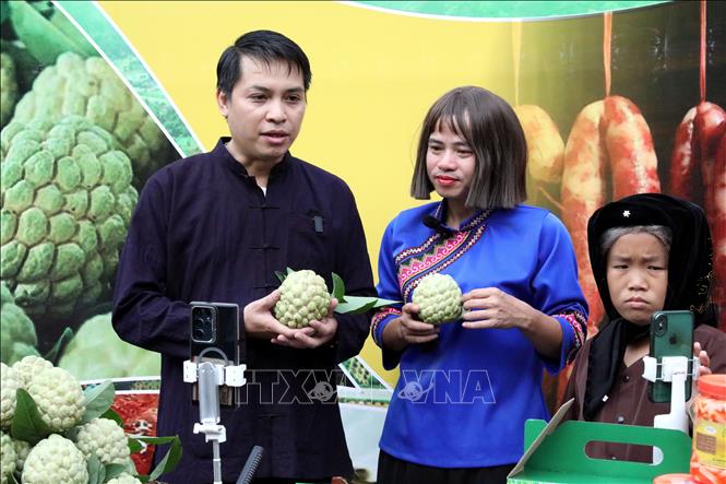Chủ tịch UBND xã Chi Lăng Vi Thiện Việt và Tiktoker “Cô Hến” livestream trực tiếp kết hợp trực tuyến giới thiệu, quảng bá, bán na trồng trên núi đá và các sản phẩm nông nghiệp, sản phẩm OCOP của địa phương tới người tiêu dùng. Ảnh: Văn Đạt - TTXVN