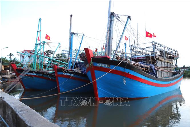 Tàu thuyền công suất lớn của ngư dân xã Quỳnh Phú (tỉnh Nghệ An) neo đậu, tránh trú bão sâu trong cửa biển Lạch Thơi. Ảnh: Xuân Tiến - TTXVN  