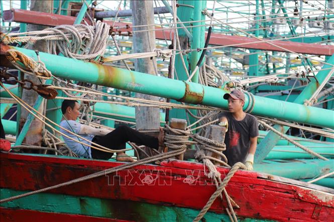 Ngư dân xã Quỳnh Phú, tỉnh Nghệ An cột dây thừng, ổn định chắc chắn phương tiện tại nơi neo đậu, tránh trú bão. Ảnh: Xuân Tiến - TTXVN