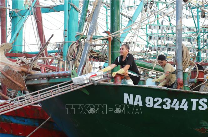 Ngư dân hối hả vận chuyển hải sản khỏi tàu vỏ sắt công suất lớn khi phương tiện vừa cập cảng cá Lạch Quèn (xã Quỳnh Phú, tỉnh Nghệ An). Ảnh: Xuân Tiến - TTXVN 