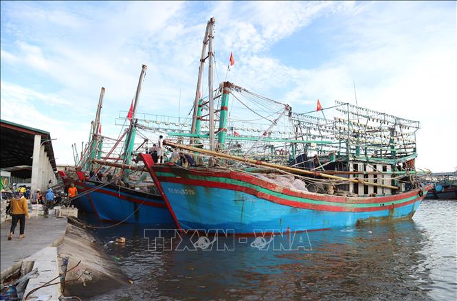 Tàu thuyền đánh bắt xa bờ của ngư dân xã Quỳnh Phú (tỉnh Nghệ An) cập cửa biển Lạch Quèn trong chiều ngày 23/8 để tránh trú bão. Ảnh: Xuân Tiến - TTXVN 