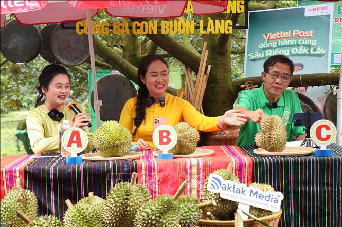 Những quả sầu riêng chất lượng cao được quảng bá tại phiên livestream “Bán sầu riêng cùng bà con buôn làng”. Ảnh: Tuấn Anh – TTXVN