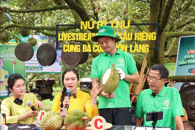 Trong khoảng 2 giờ livestream, Ban tổ chức đã bán được hơn 60 tấn sầu riêng Dona của người dân xã Ea Knuếc. Ảnh: Tuấn Anh – TTXVN