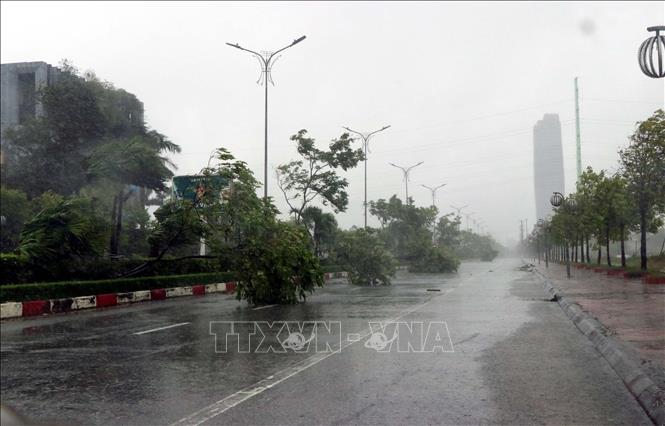 gió lớn làm cây xanh trên đường Hàm Nghi, phường Thành Sen đỗ đã chăn ngang đường. Ảnh: Công Tường-TTXVN 