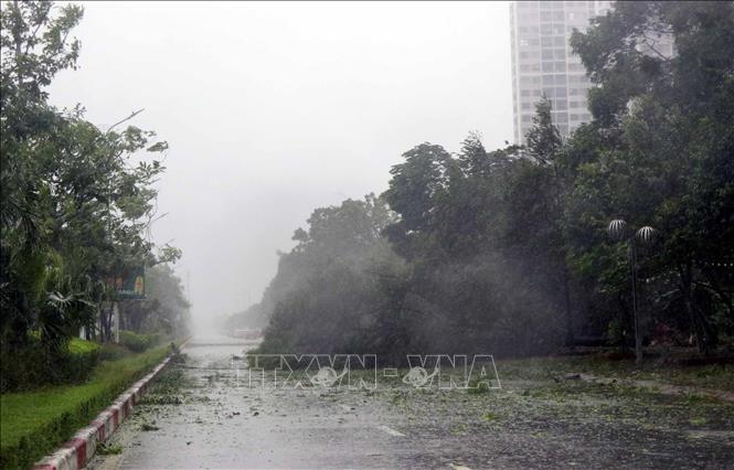 Gió lớn làm cây xanh trên đường Hàm Nghi, phường Thành Sen gãy đổ chăn ngang đường. Ảnh: Công Tường-TTXVN 