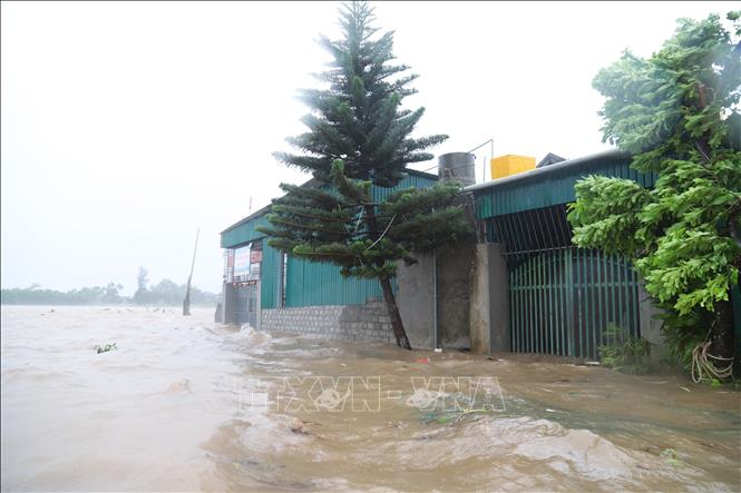 Khu vực dân cư gần cửa biển Lạch Vạn thuộc xóm Ngọc Minh (xã Diễn Châu, tỉnh Nghệ An) bị ngập nặng do nước biển dâng. Ảnh: Xuân Tiến - TTXVN 