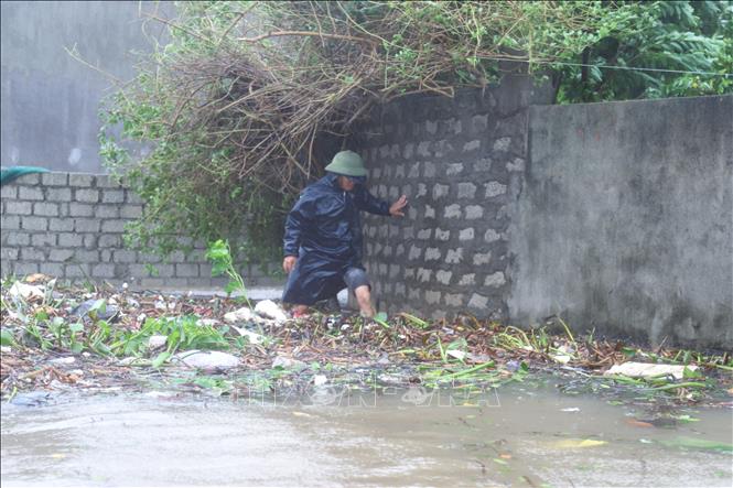 Người dân xóm Đông Lộc (xã Diễn Châu, tỉnh Nghệ An) khó khăn khi di chuyển qua những điểm ngập có nhiều cành cây gãy đổ. Ảnh: Xuân Tiến - TTXVN 