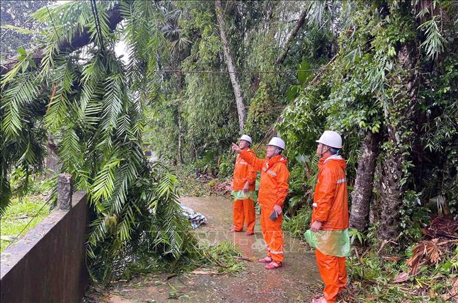 Cán bộ điện lực kiểm tra, xử lý sự cố thiệt hại của bảo số 5. Ảnh: Công Tường-TTXVN