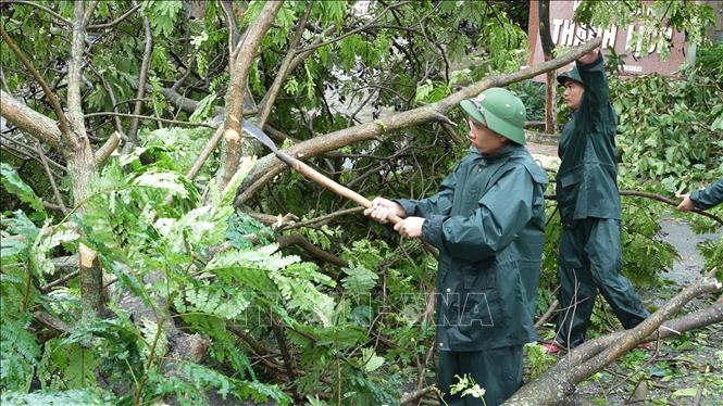 Lực lượng bộ đội biên phòng hỗ trợ người dân xã Thiên Cầm dọn dẹp cây xanh bị đổ gãy. Ảnh: Hữu Quyết - TTXVN