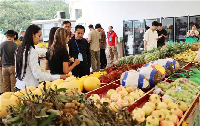 Nhiều loại hoa quả của Việt Nam như sầu riêng, chanh leo…, được bày bán tại khu vực cửa khẩu Hữu Nghị Quan (Trung Quốc). Ảnh: Quang Hưng - PV TTXVN tại Trung Quốc