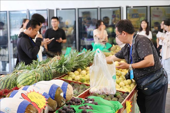 Nhiều loại hoa quả của Việt Nam như sầu riêng, chanh leo…, được bày bán tại khu vực cửa khẩu Hữu Nghị Quan (Trung Quốc). Ảnh: Quang Hưng - PV TTXVN tại Trung Quốc
