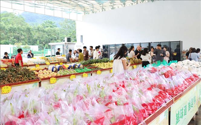 Nhiều loại hoa quả của Việt Nam như sầu riêng, chanh leo…, được bày bán tại khu vực cửa khẩu Hữu Nghị Quan (Trung Quốc). Ảnh: Quang Hưng - PV TTXVN tại Trung Quốc