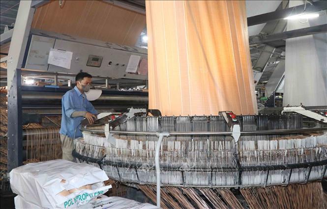 Dây chuyền sản xuất Công ty Cổ phần Bao bì Sông La Xanh. Ảnh: Công Tường-TTXVN