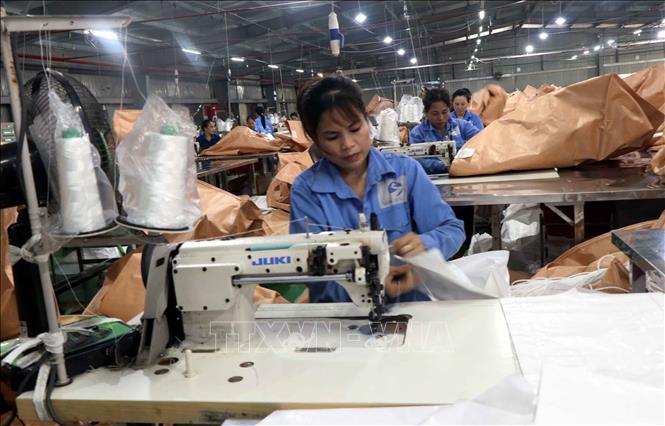 Hoạt động sản xuất tại Công ty Cổ phần Bao bì Sông La Xanh. Ảnh: Công Tường-TTXVN