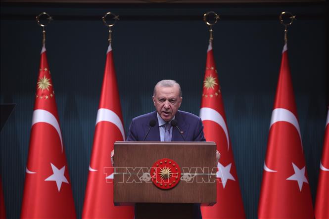 Tổng thống Thổ Nhĩ Kỳ Recep Tayyip Erdogan phát biểu tại cuộc họp báo ở Ankara. Ảnh: THX/TTXVN
